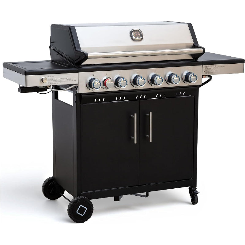 6-Burner Gas Grill