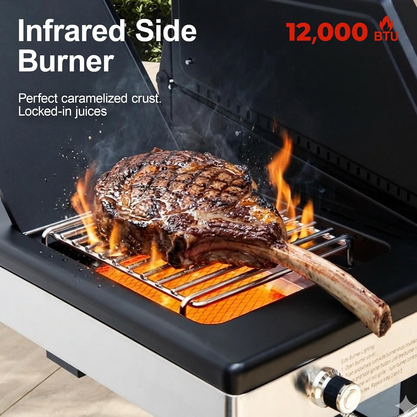 6-Burner Gas Grill